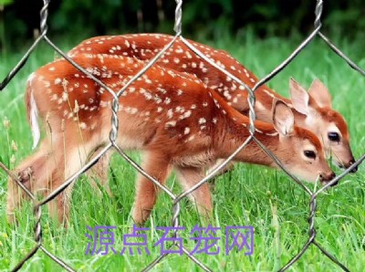 ˮ�����o���Z�o�|ʩ�����ؼ�ʩ��Ҫ��