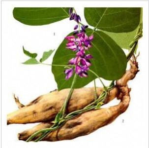 ����(y��ng)�����ԭ��