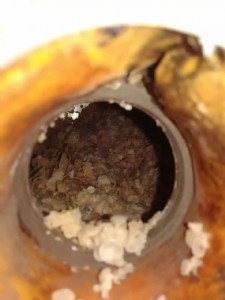 ɽ�������ϴ���Մ�(chu��ng)�I(y��)�Ŀ���N�l(w��i)���������ϴ�Ŀ