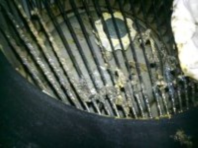 �Ј���ʲô�ИI����С�����ߣ������ϴ�Ŀ��ô�����Ј���