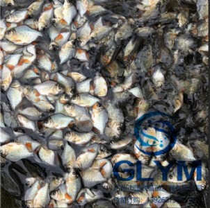 �����~����L���ṩ���N��ˮ�~���K�~��