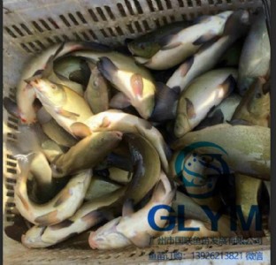 �~���N�� ���q�~�綡���~��N��