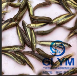 �~�緱�����~�����~��