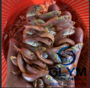 �������|�~�繩���t�_���~��tɫ�����a�~��