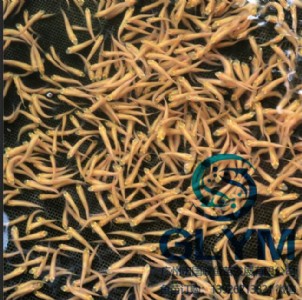 �~��Ʒ�N �tɫ���~��