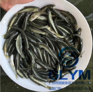 �V�݇�(gu��)(li��n)�~�繩��(y��ng)���~��N������~�����~��