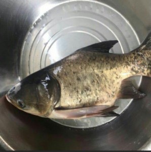 �~��ˮ�a�N�繩���s�Ǵ��^�~��N��s�ǻ����~��