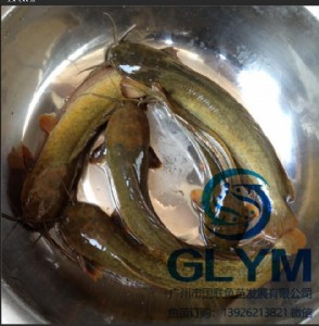 �~����N�����~�������~���������~��