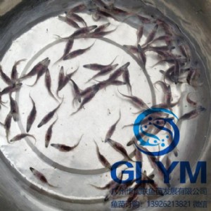 �~��r������\�~�������~��