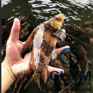 ���V�݇�(gu��)(li��n)�~�硿���I(y��)��(y��u)�|(zh��)�~��һ���L(f��ng)��~��