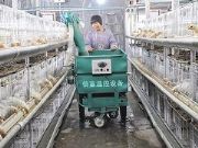 自動(dòng)上料機(jī)報(bào)價(jià),耐用的自動(dòng)上料機(jī)【供應(yīng)】