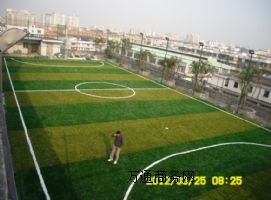 �|ݸ����������/��Ƭ������˹���Ƥ���O/���|��������a