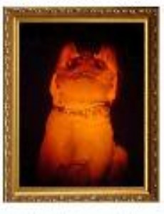 3dȫϢ��ˇƷ ��ʽ�����r��3d׃�D���Ƭ