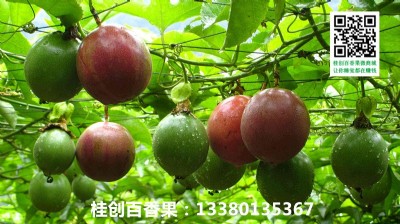 �Ϻ�����������У��Ϻ���������l�r���N�ۣ��V��Խ�ϰ�����a��