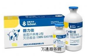 �A����-2���i�A�h����2�͜���磨SX07�꣩