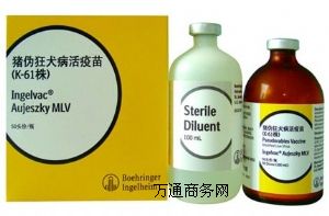 �ο�Ȯ����