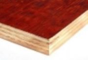質(zhì)量好的松木面模板當(dāng)選桂林板廠 北京松木紅板