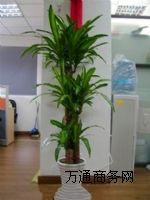 ������[,��h������[