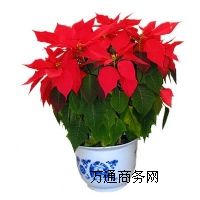 ˮ��ֲ�����,��hˮ��ֲ�����