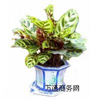 ���ݳ���,��h���ݳ���