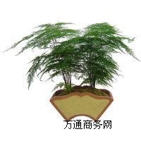 �k����ֲ����[,��h�k����ֲ����[