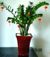 ��hֲ�����U,��hֲ�����U�r��