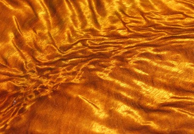 ��z���ô�b������z骺��u�ᡢ������u��