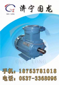 YB2系列電機(jī),YBK3電機(jī)