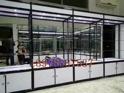 �V�����\⁺Ͻ�չʾ��