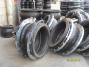 ɽ�|����(y��ng)��ʢ�����z���^(�D)