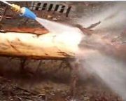 ����ȥ��Ƥ�O��߉���ϴ�Cfs18/28