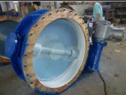 d343h���y�����m���y���͸��g���y�����P䓵��y���ߜص��y