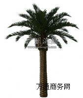 ��������������乩��������������������