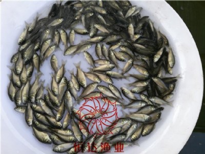 �����~�����l�Ј����V���~���Bֳ���ṩ���|ˮ�a�N�緽���y�a�~��