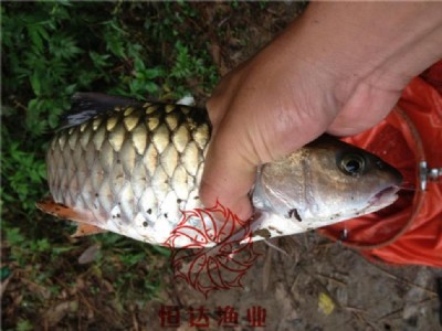 �����������~���~�����l(f��)���V�ݺ��_�~�硽�������~��r��