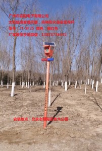 ̫����Z����ʾ�������Ž^һ���˞�ɽ��