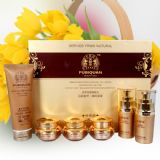 ����ܽ��Ȫѩ�������B(y��ng)��߀ԭ���b�����һ��