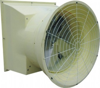 �����ؓ�������L�C