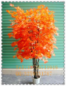 ��Ʒ�������  ��������؃r �c�����^�����