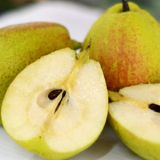 ī�����M���{�����ڈ��P����