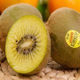 �����m�M(j��n)���殐�����ڈ�(b��o)�P(gu��n)����