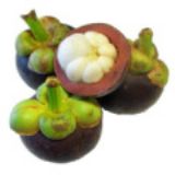 ̩���M��ɽ�����ڈ��P����