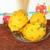 �炐�ȁ��M����C�����ڈ��P����