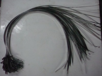 ���_���P�����