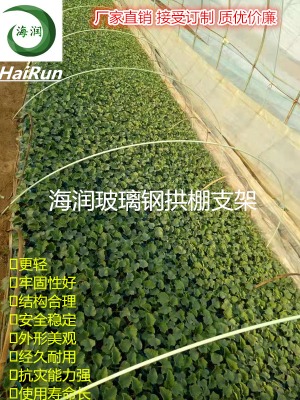 �ӱ����������w�S������֧��������ͻ����߲������ﹰ�U