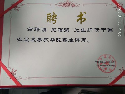 ����(y��ng)�����ķN��