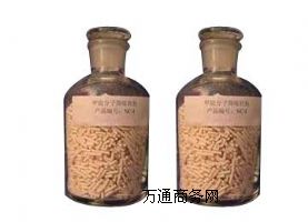 ������������(y��u)�|(zh��)   ɽ�|����������