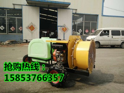 �aƷ�������ƵĹ��@�����C ���������ˎ�C���Y�Ԛ���