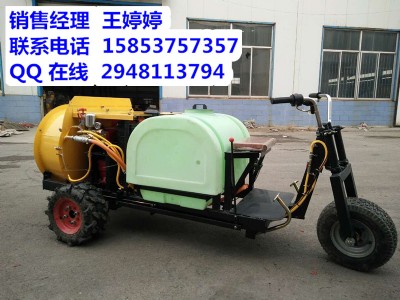 果農(nóng)助手座駕式小型風(fēng)行式打藥機(jī) 果樹噴灑機(jī)果農(nóng)打藥機(jī)設(shè)備