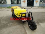 �L��ʽ��ˎ܇ ���Fʽ��ˎ�C���\�M